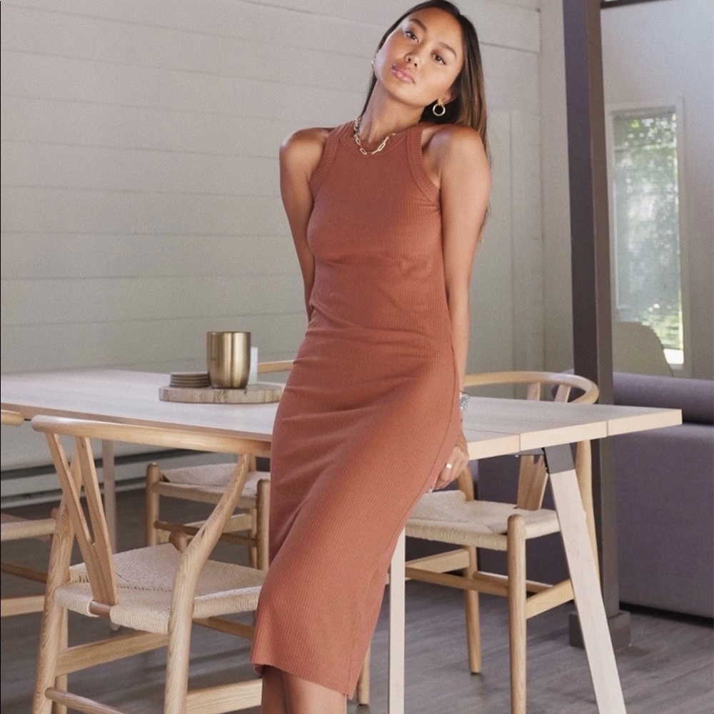 NEVER WORN BRAND NEW !!! Wsly rivington midi dress